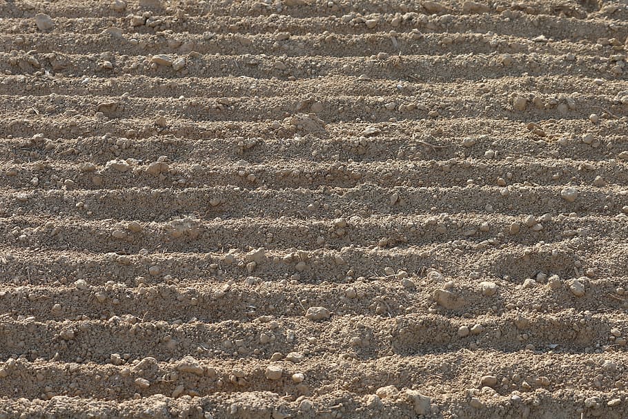 earth, soil, ground, dry, texture, agriculture, agricultural, production, nature, outdoor