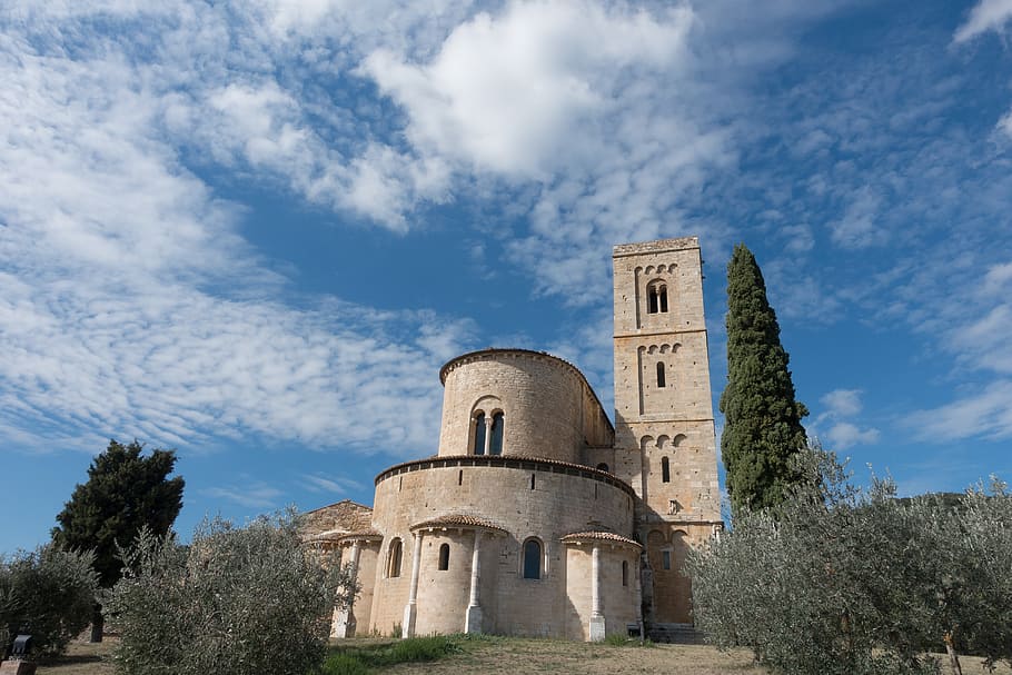 abbey, monastery, church, romanesque, tuscany, italy, san 'antimo, montalcino, benedictine monastery, olive tree