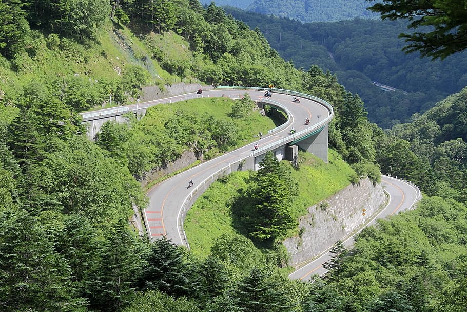 mountain, road, pass, drive, root, nagano, landscape, fresh green, curve, plant