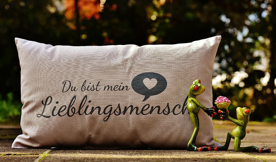 pillow, love, valentine's day, greeting card, romantic, pair, funny, cute, frogs, favorite human
