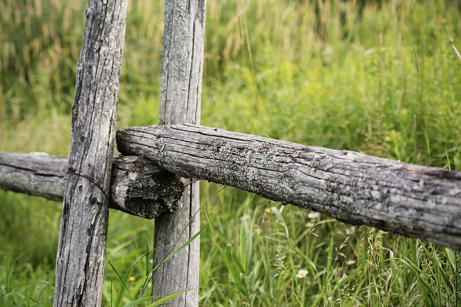 wood, fence, farm, field, country, grass, outdoors, plant, wood - material, tree