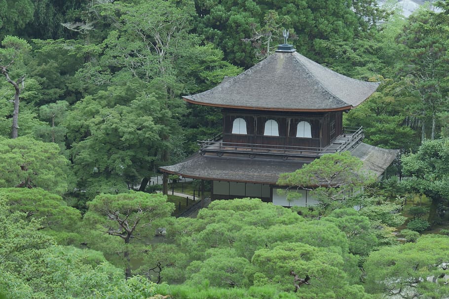 ginkakuji, kyoto, garden, plant, tree, architecture, built structure, green color, building exterior, growth