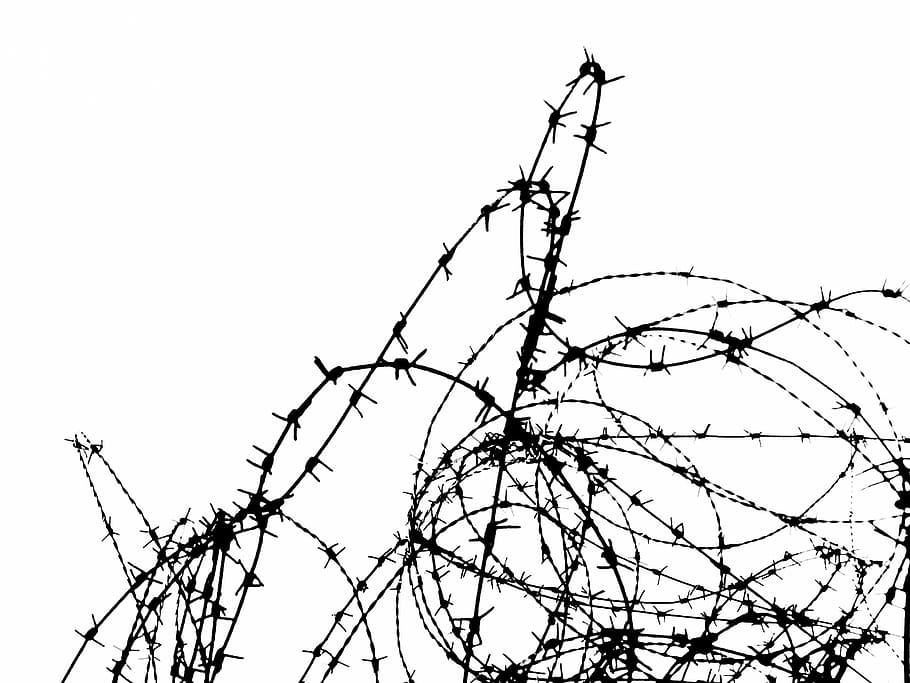 barbwire, fense, border, wire, protection, black and white, protected, low angle view, sky, clear sky