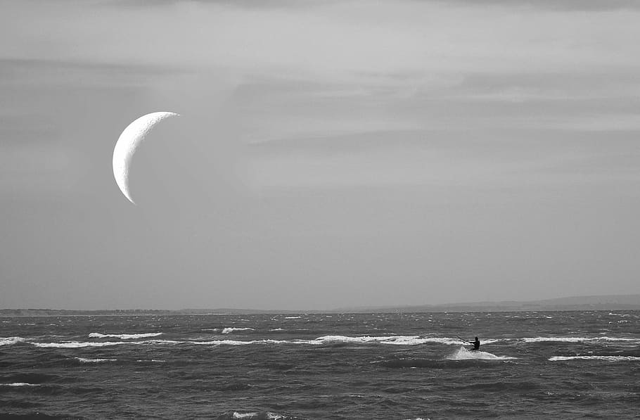 foto en escala de grises, cuerpo, agua, cometa, surf, mar, tabla, embarque, playa, activo