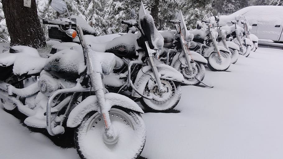 black, motorcycle, covered, snow, daytime, harley davidson, snowy, winter, snowed in, cold temperature