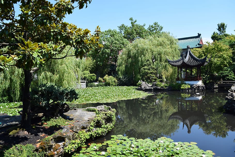 Garden, Mindfulness, Meditation, Chinese, mindfulness, meditation, vancouver, nature, park, zen, pond