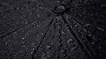 Umbrella Rainy Weather Background Wet Drop Of Water Black Dark Autumn December Gloomy Pxfuel