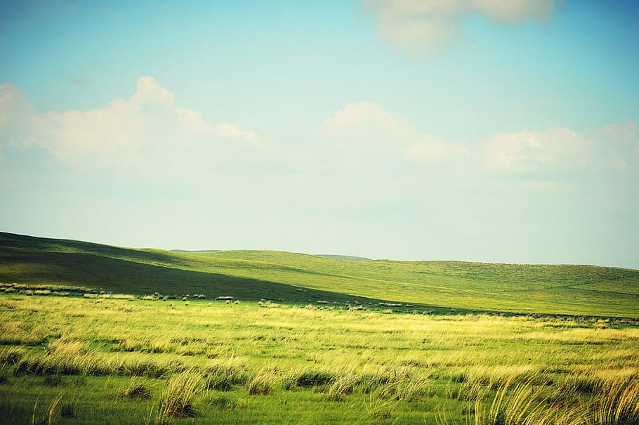 大草原, ゴル, 白い雲, 空, 環境, 雲-空, 風景, 風景-自然, 静けさ, 静かな風景