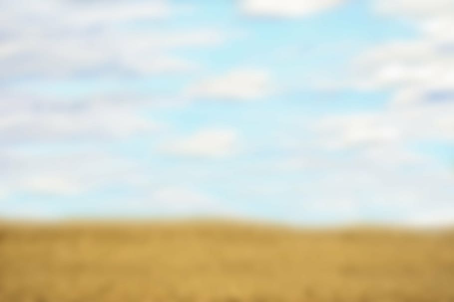 white clouds, landscape, field, sky, clouds, summer, background, text dom, design dom, out of focus