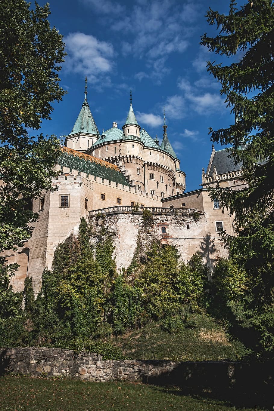 bojnice, bojnice castle, lock, fairy tale, slovakia, history, architecture, tree, building exterior, built structure