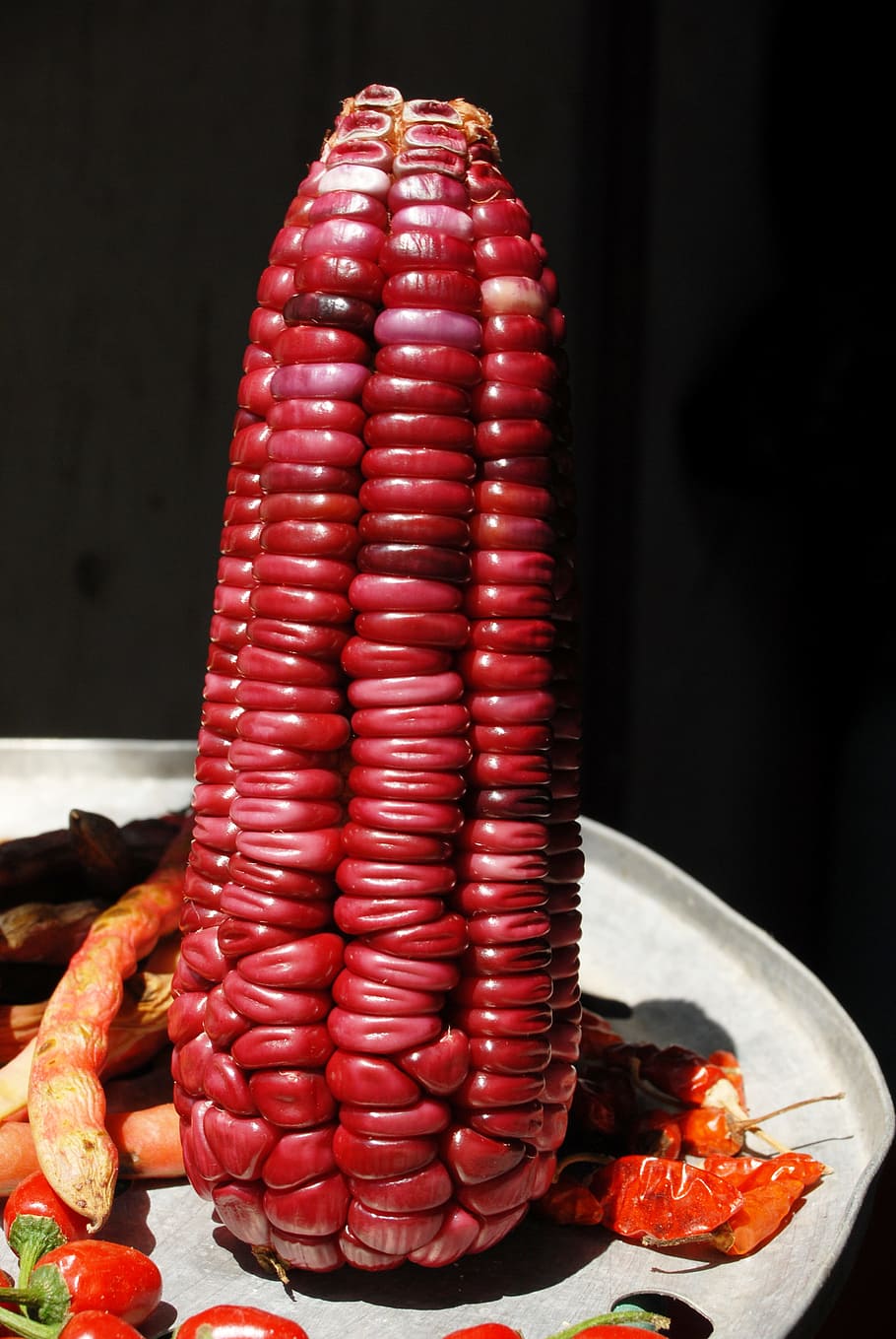 corn, cob, agriculture, food and drink, food, red, freshness, indoors, vegetable, close-up