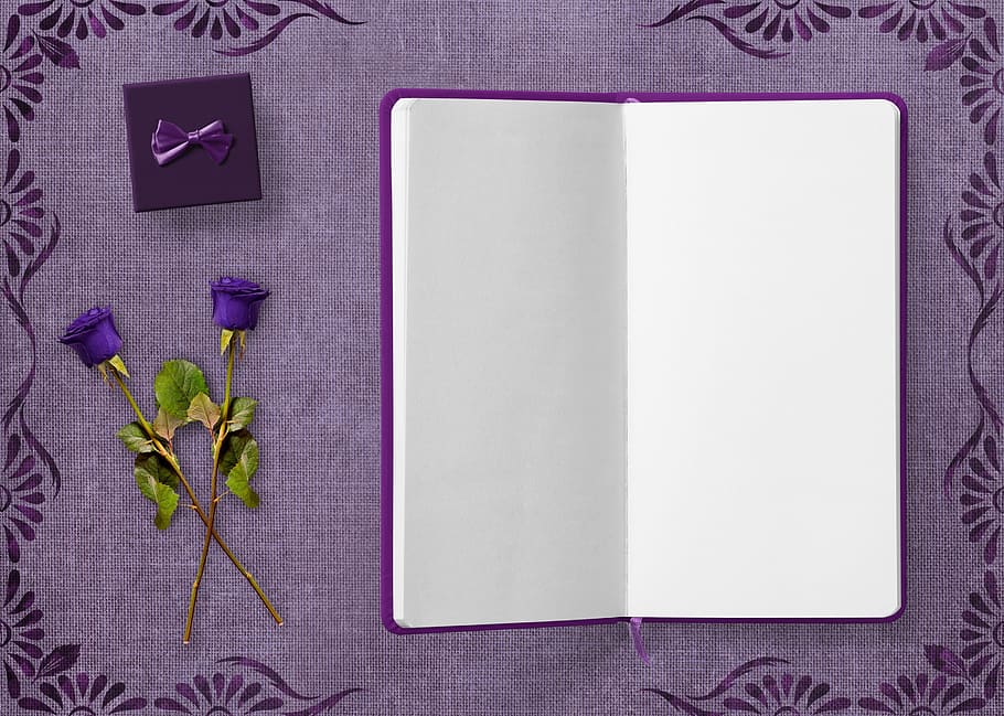 ungu, buku catatan, mawar, buku harian, hadiah, bingkai, bunga-bunga, latar belakang, gothic, catatan