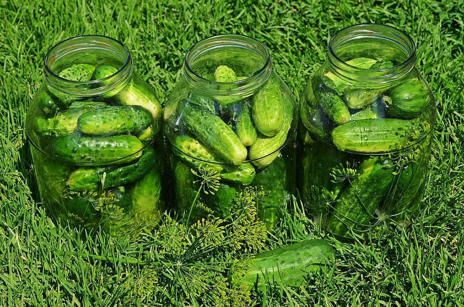 pickled, cucumbers, inside, glass jars, vegetables, eating, kitchen, ensiling cucumbers, pig iron, luncheon