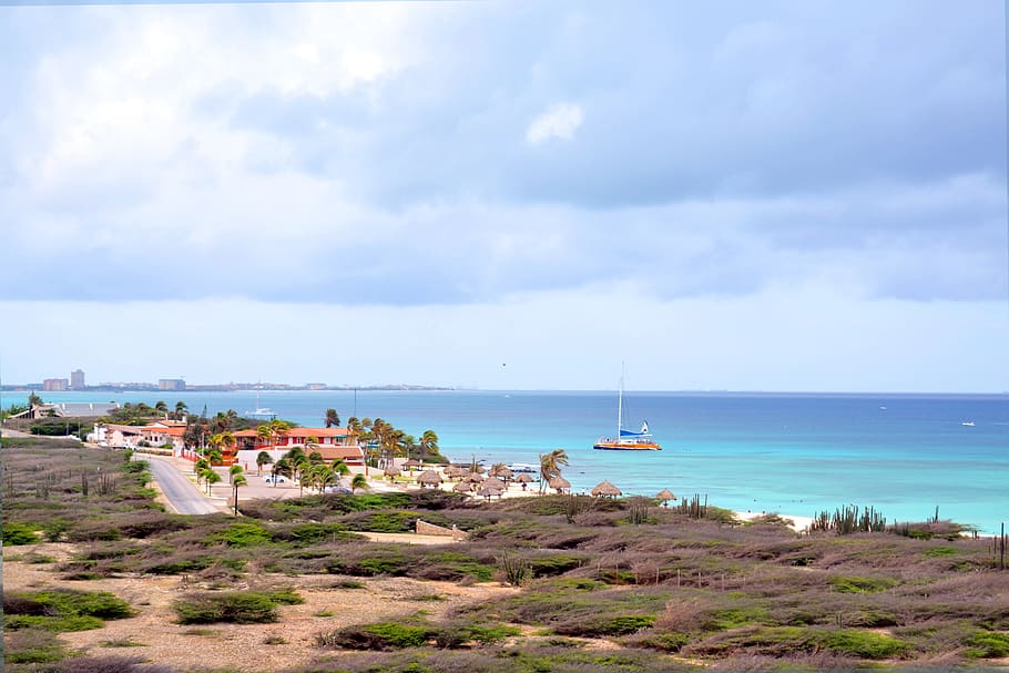 summer, caribbean, aruba, ocean, mar, island, holidays, beach, horizon, cactus of the caribbean