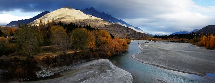Shotover River, Otago, NZ, brown trees facing river, mountain, water, scenics - nature, mountain range, beauty in nature, tree