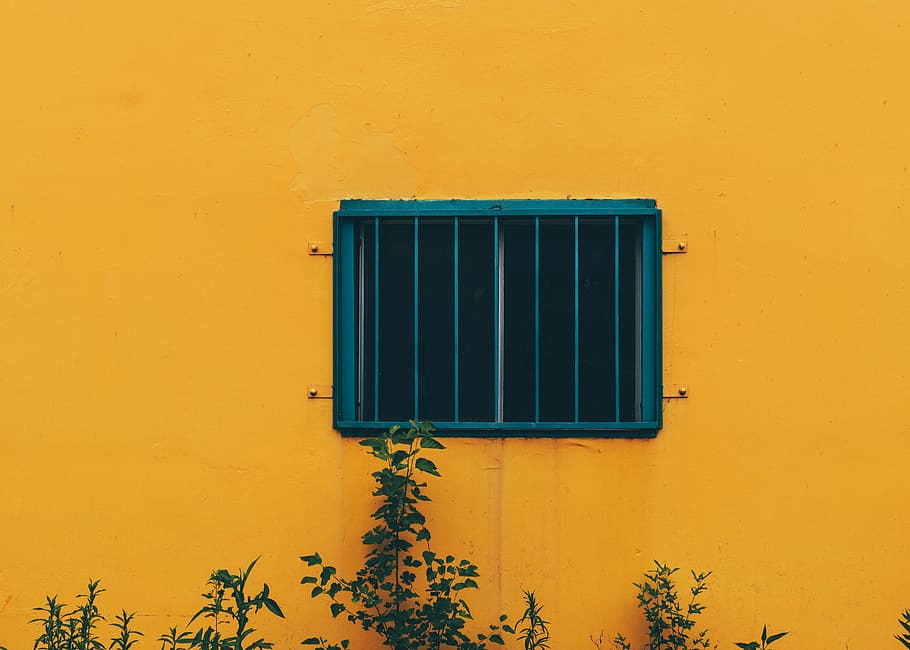 plant, window grille, yellow, concrete, wall, plants, window, building exterior, wall - building feature, architecture
