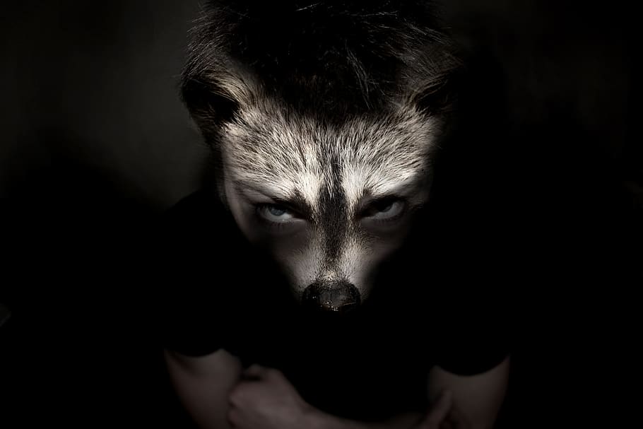 animal, man, raccoon, werewolf, creepy, scary, dark, strange, creature, face