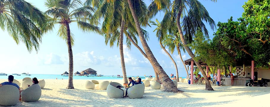 maldivas, praia, areia, mar, ilha, recurso, viagem, férias, tropical, paraíso