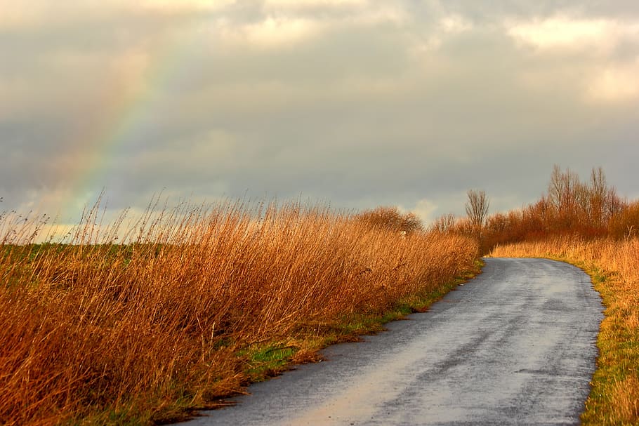 landscape photography, road, Rainbow, Away, Forest, Nature, Autumn, summer, clouds, weather