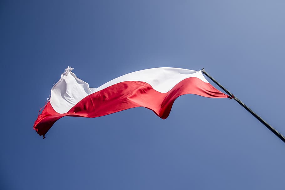 白, 赤, 旗, ポーランド, 愛国心, ポーランドの旗, 祖国, 国家, f宴, 白赤