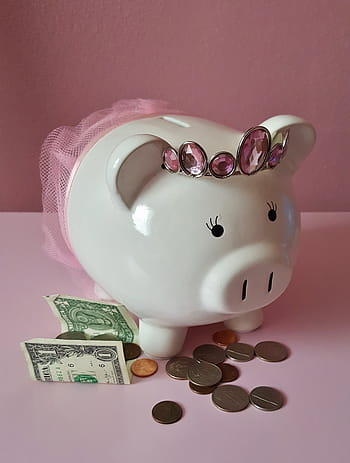 Royalty-free pig coin banks photos free download - Pxfuel