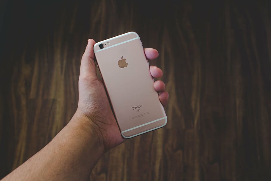 person, holding, rose, gold iphone 6, 6s, gold, iphone, s, apple, mobile
