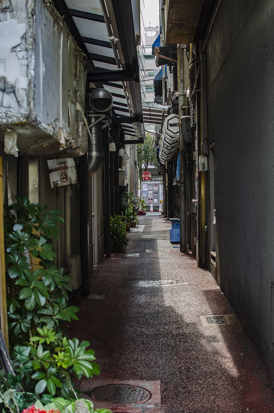 callejón, japón, urbano, turismo, tiendas, el camino a seguir, dirección, arquitectura, estructura construida, edificio
