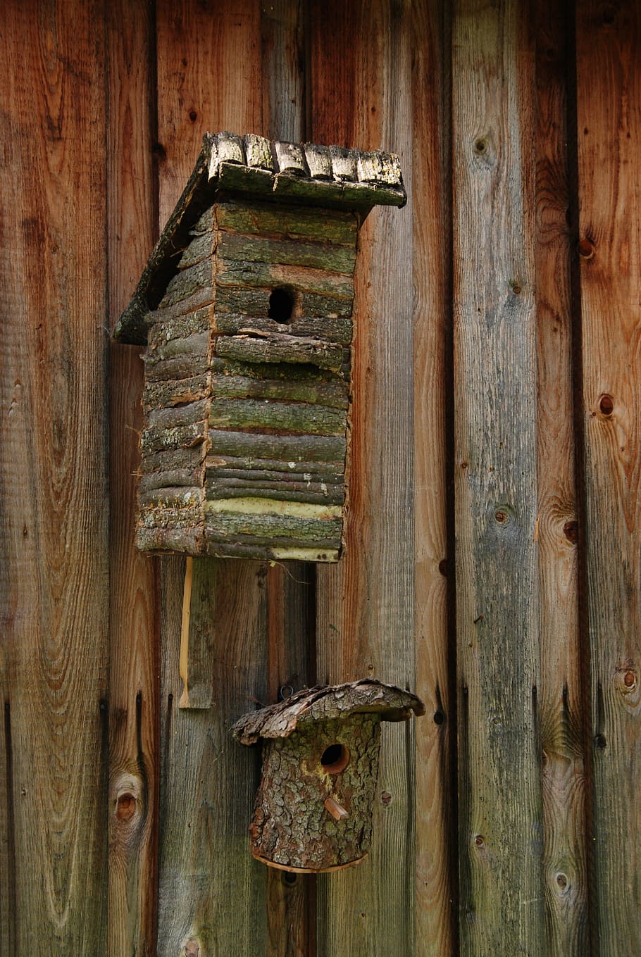 birdhouse, bird, nest, wood, hatch, poland, wood - material, door, entrance, close-up