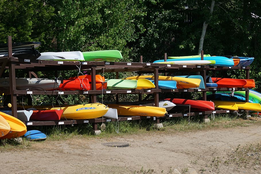 kayak, recreation, summer, paddleboard, sport, transportation, plant, tree, nature, day
