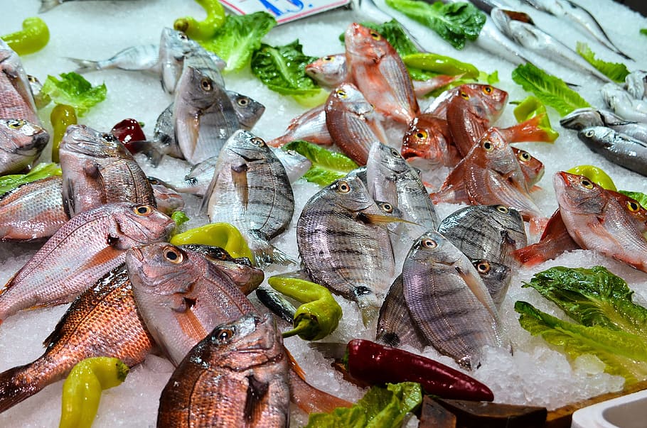 edible, fishes, white, tabe, food, meat, fish, market, food and drink, freshness