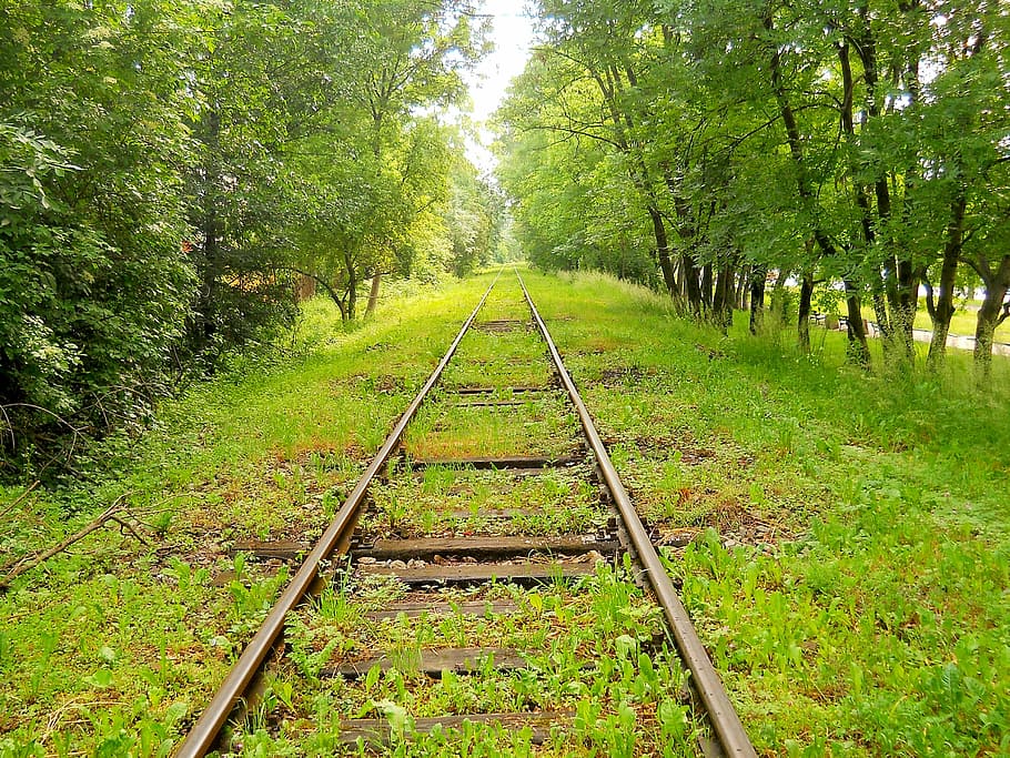 train railway, covered, grass, tracks, way, landscape, travel, transport, rails, communication