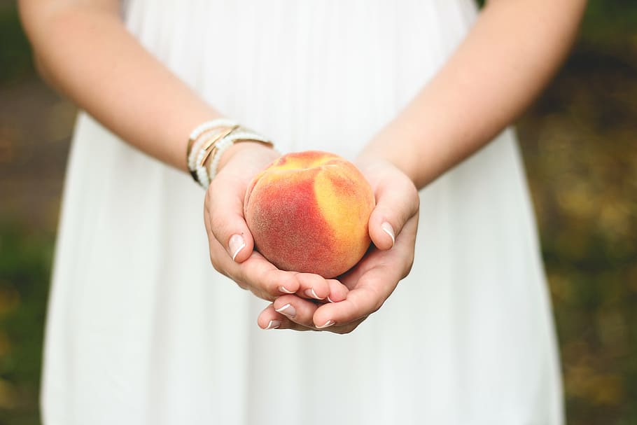 red, apple, person, palms, holding, round, yellow, fruit, peach, hands