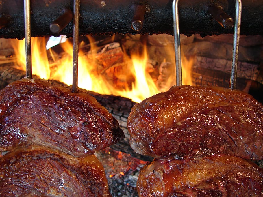 barbecue, ground fire, filet steak, meat, meat-on-spit, barbecue grill, fire, coal, firewood, calls