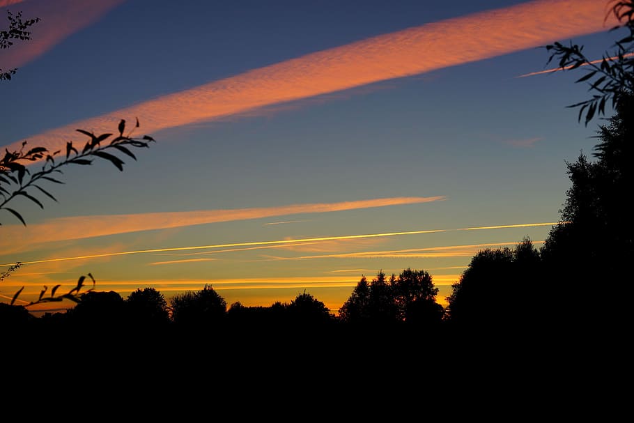 silhouette photo, trees, sky, afterglow, sunset, late summer, evening sky, abendstimmung, landscape, nature