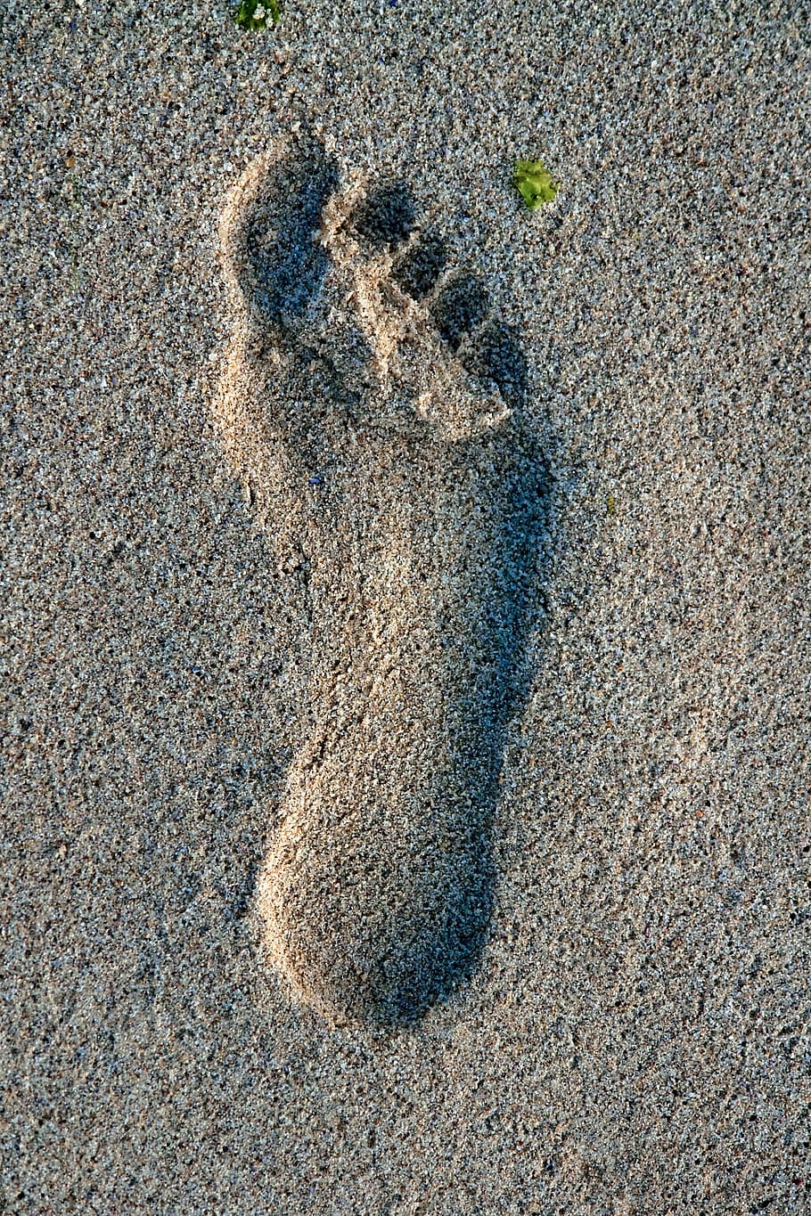 lotus feet of the guru, lotus feet, guru, sand, reprint, feet, sole, ten, impression, beach