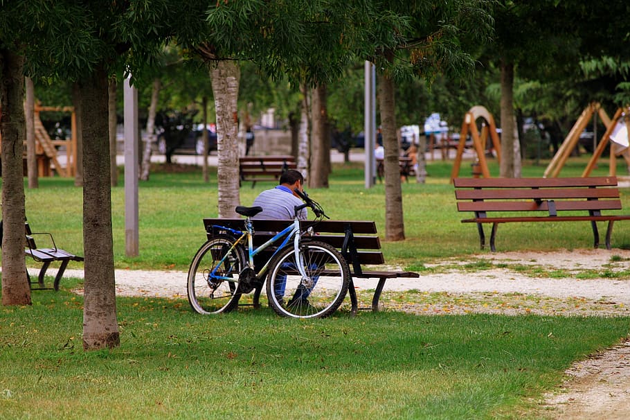 solitude, bench, man, bicycle, garden, park, trees, lane, plant, tree