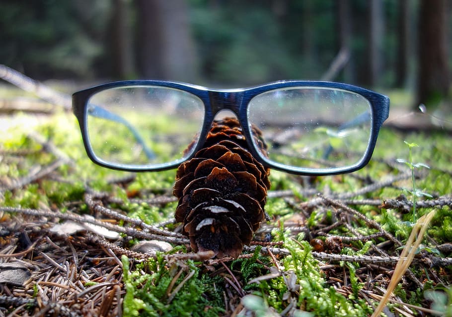 kacamata, gelas berdiri, kacamata untuk membaca, tannnzapfen, karya seni, dekorasi, lantai hutan, hijau, kotor, kaca buram