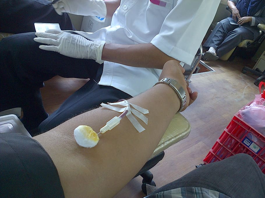 donación de sangre, donante, voluntario, sangre, donación, salud, persona, brazo, aguja, personas reales