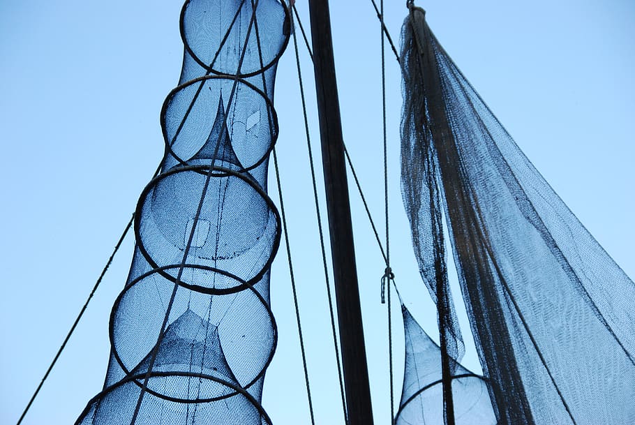 air, blue, fish, fishnet, food, low angle view, sky, clear sky, architecture, built structure
