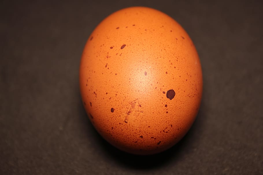 egg, brown, food, eggshell, hen's egg, nutrition, eat, breakfast, close up, background