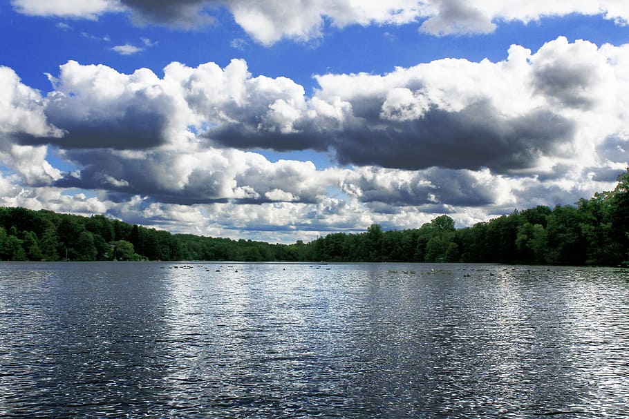 niederrhein, lake, landscape, germany, water, cloud - sky, sky, tree, scenics - nature, beauty in nature