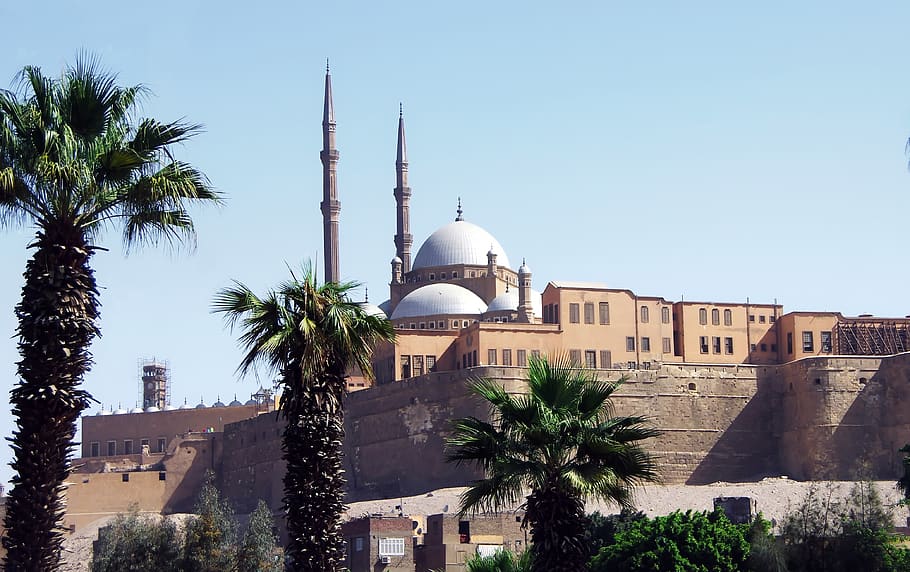 egypt, cairo, citadel, saladin, fortress, architecture, travel, minaret, tree, religion