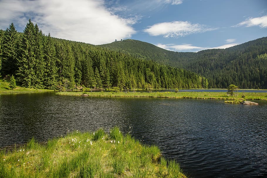 arber, kleiner arbersee, bergsee, arbersee, great arber, bavarian forest, plant, tree, beauty in nature, scenics - nature