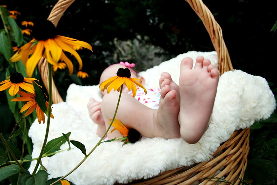 bebé, pies, canasta, flores, familia, planta floreciente, flor, fragilidad, vulnerabilidad, planta