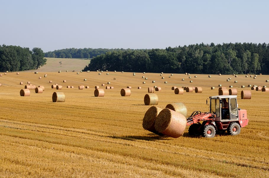 red, tractor, hay stacks, brown, field, daytime, harvest, straw, straw bales, agriculture