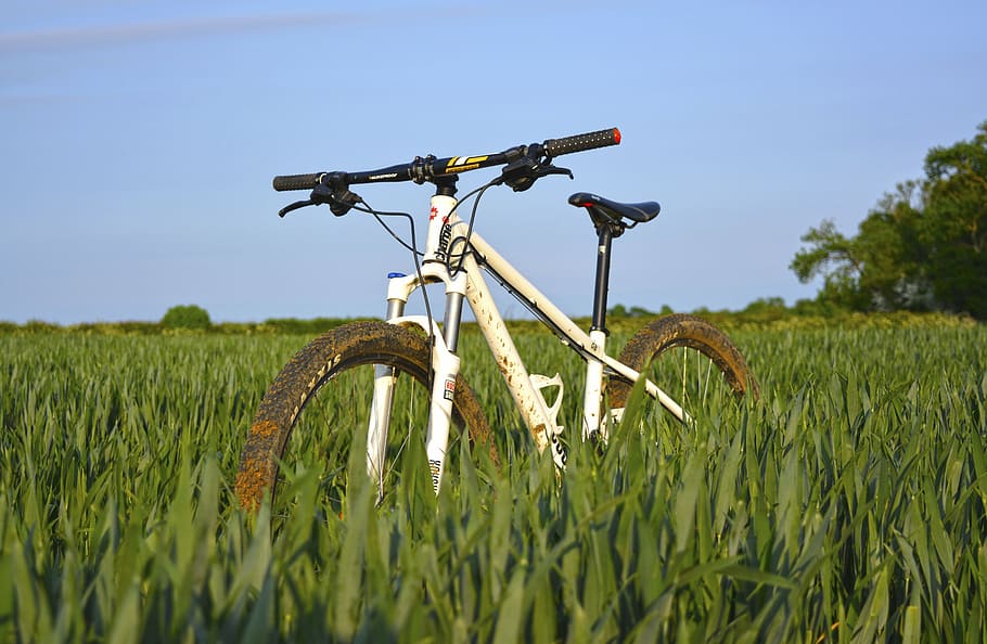 putih, sepeda hardtail, hijau, bidang rumput, sepeda, olahraga, hobi, rumput, lapangan, langit
