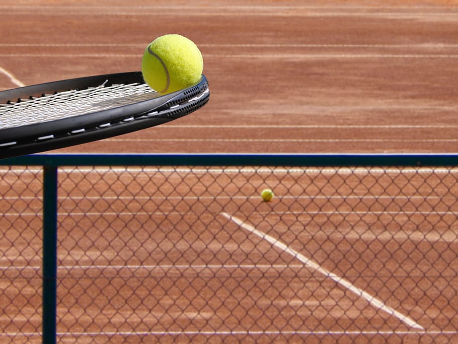 black, tennis racket, ball, tennis, racket, court, racquet, tennis ball, tennis court, tennis racquet