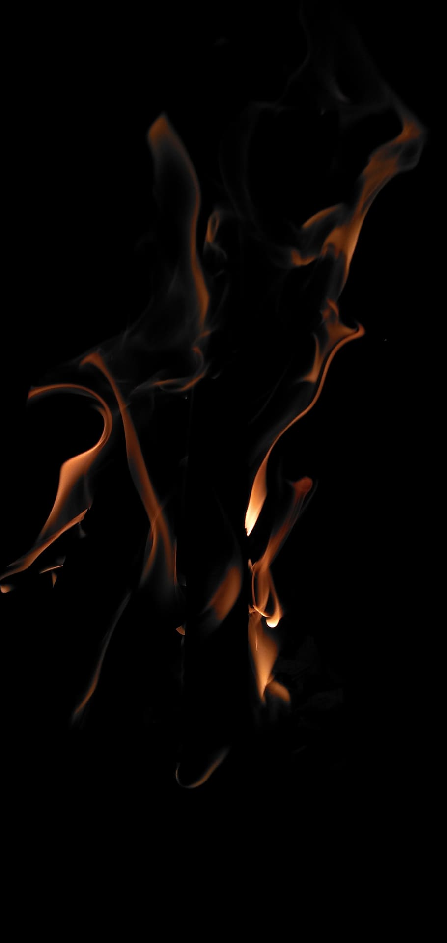 fogo, chama, calor, quente, lareira, queimar, queima, ardente, fundo preto, fogo - fenômeno natural