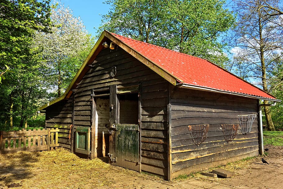 brown, wooden, house, trees, daytime, barn, stable, shed, livestock, cattle