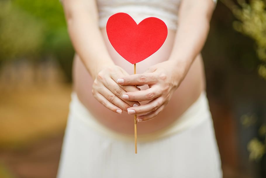 selective, focus photography, woman, holding, heart, stick, pregnant woman, pregnancy, pregnant, belly
